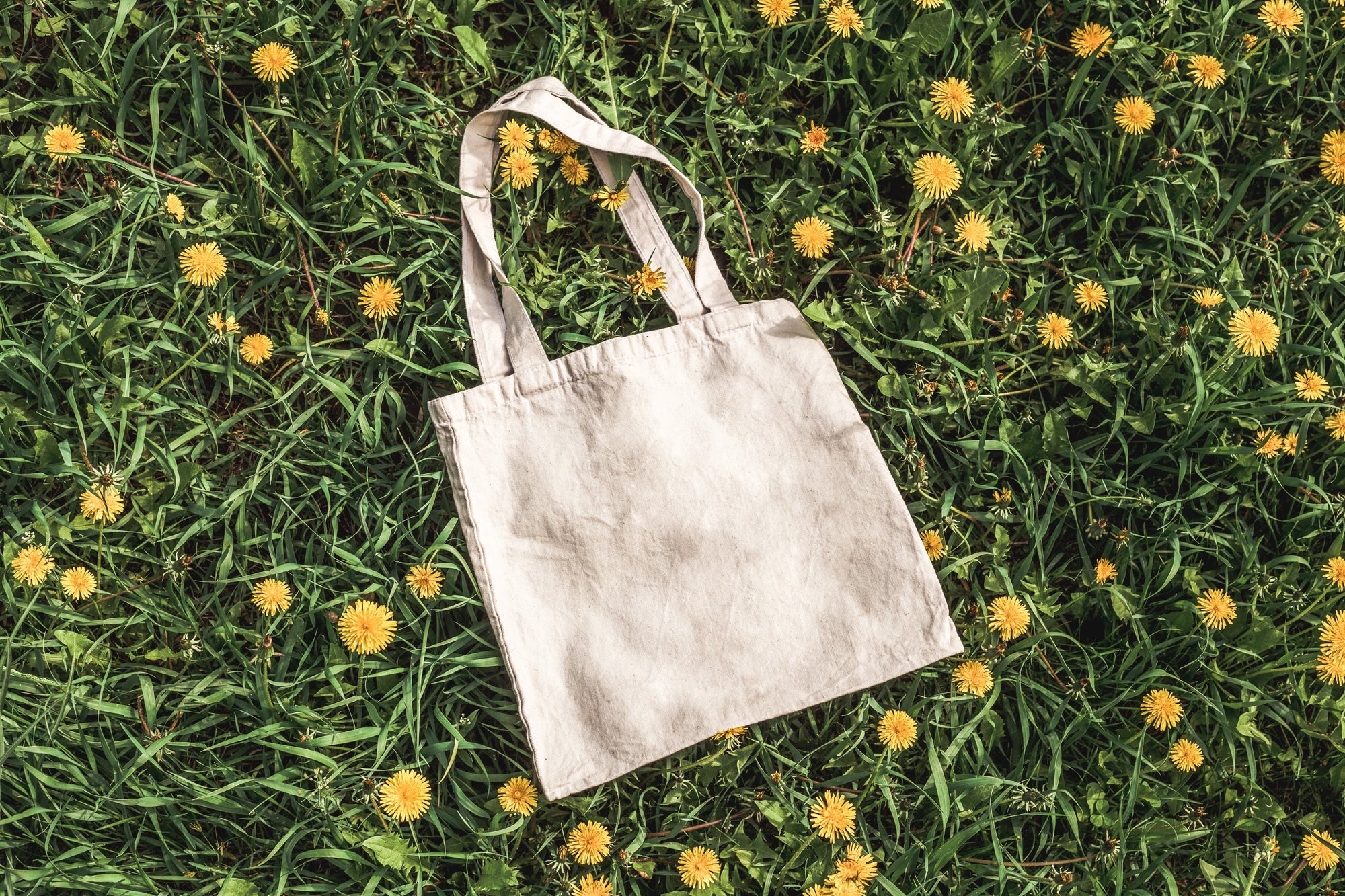 Conscious Consumption: Good VS Goods