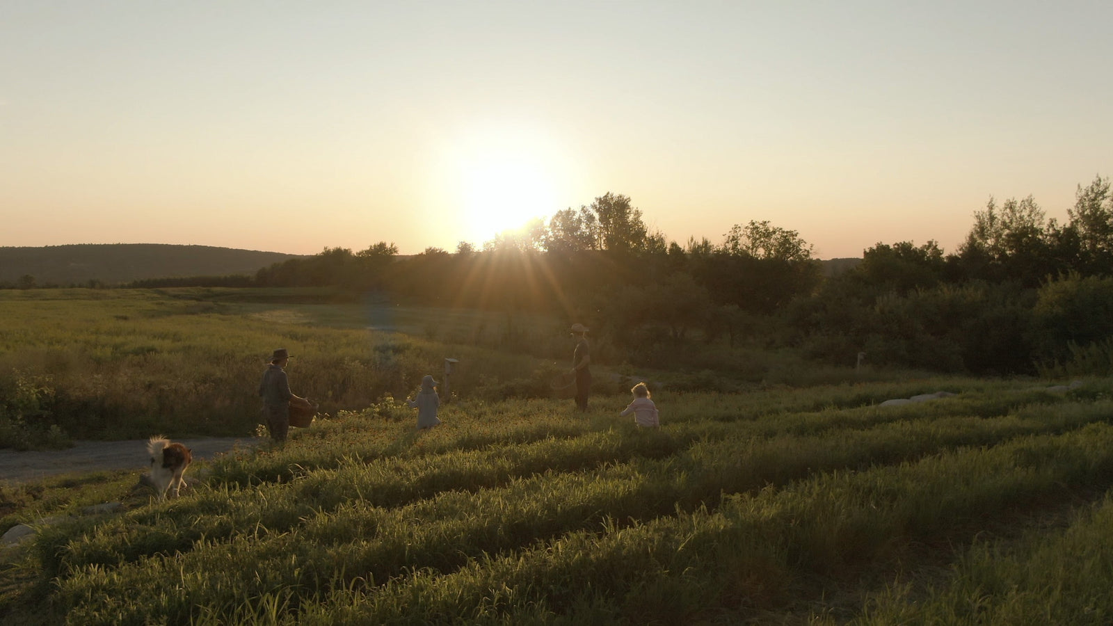 benevolence, a way of life