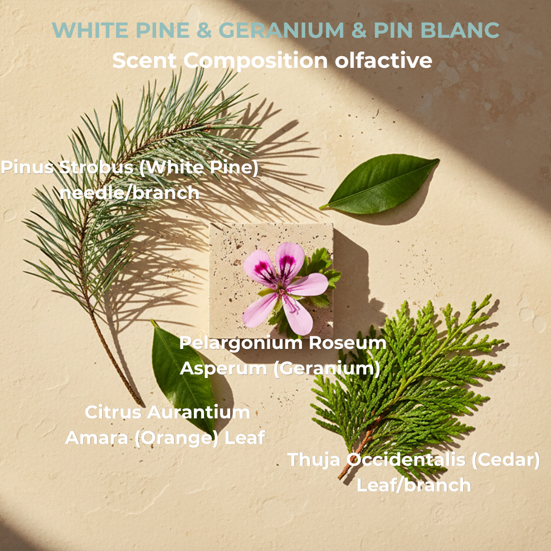 Shampoo Bar White Pine and Geranium