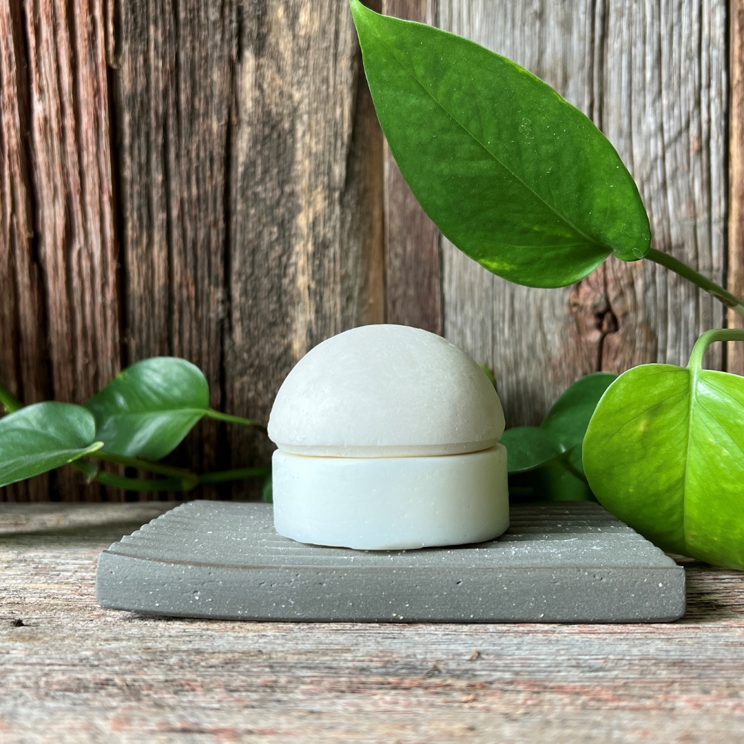 Unscented Solid Hair Care Duo
